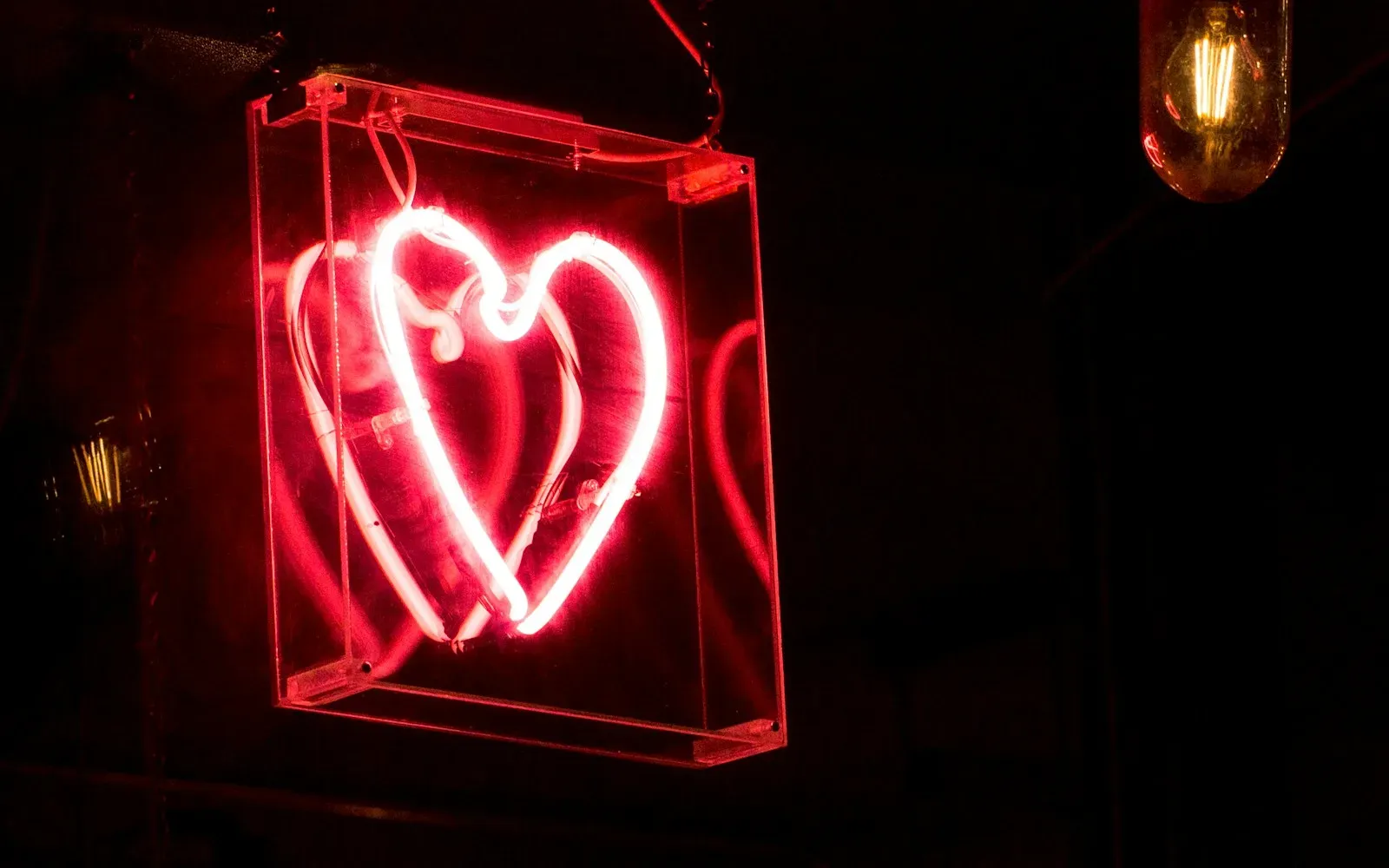Rot leuchtendes Neonherz in einem Glaskasten vor dunklem Hintergrund – Kaufmich oder Ladies im Vergleich
